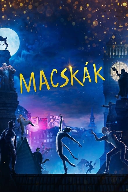 macskak-2019