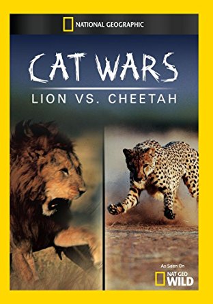 Nagymacska-háborúk - oroszlánok a gepárdok ellen online