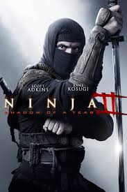 Ninja 2. - Egy könnycsepp árnyéka online