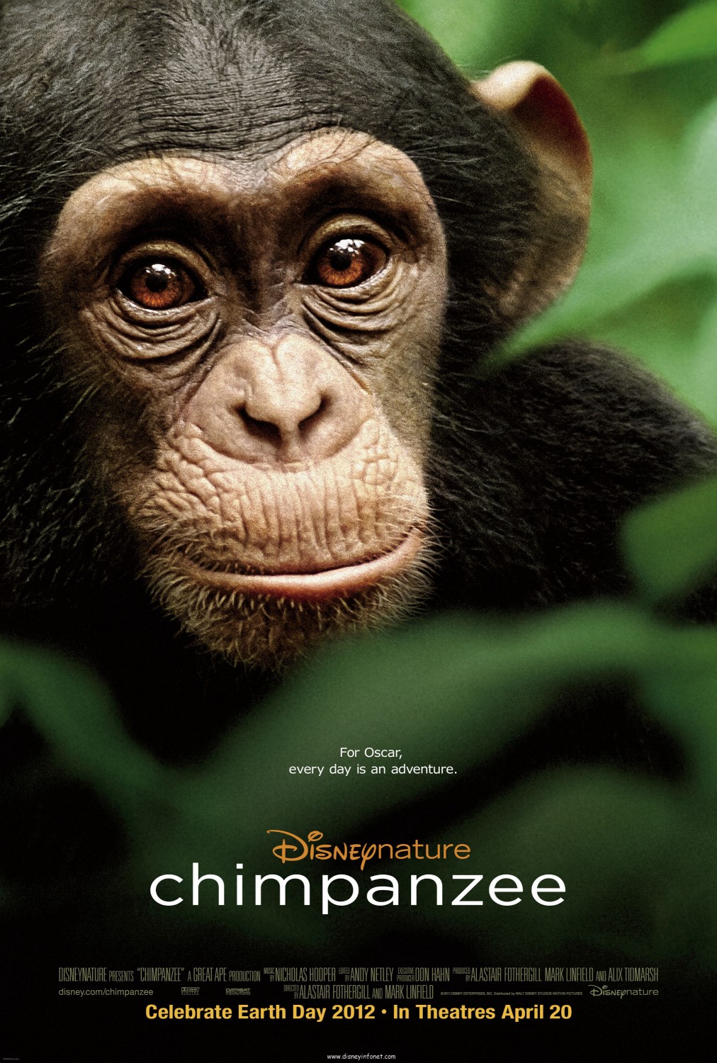 Oscar, a csimpánz online