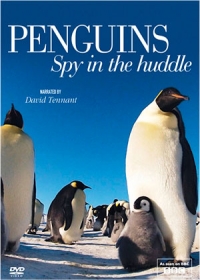 penguins-spy-in-the-huddle-1-evad-2013
