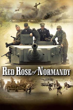 red-rose-of-normandy-2011