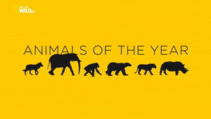 Sérülékeny természet-2017 állatai online