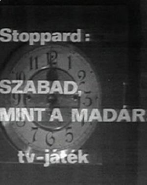 Szabad, mint a madár