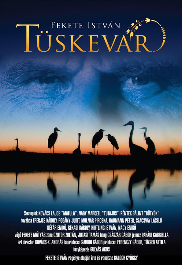Tüskevár (2012) online