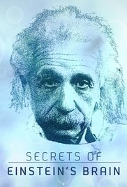 Utazás Einstein koponyája körül online