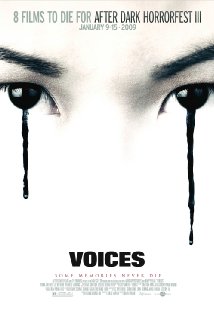 voices-2007