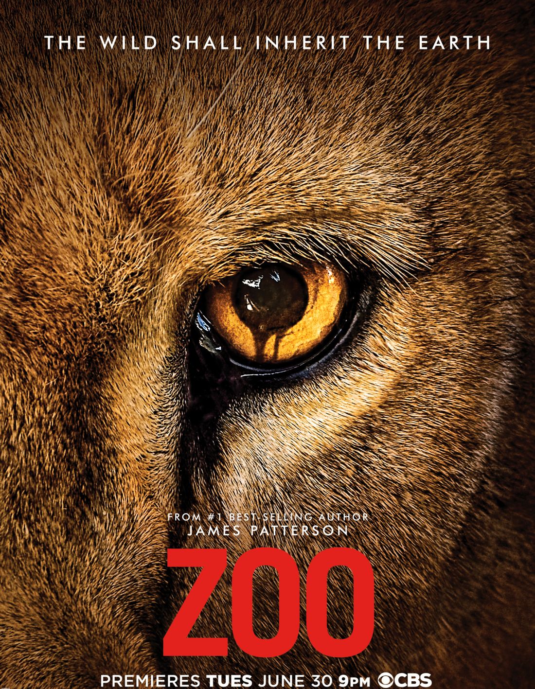 Zoo - Állati ösztön 1. Évad